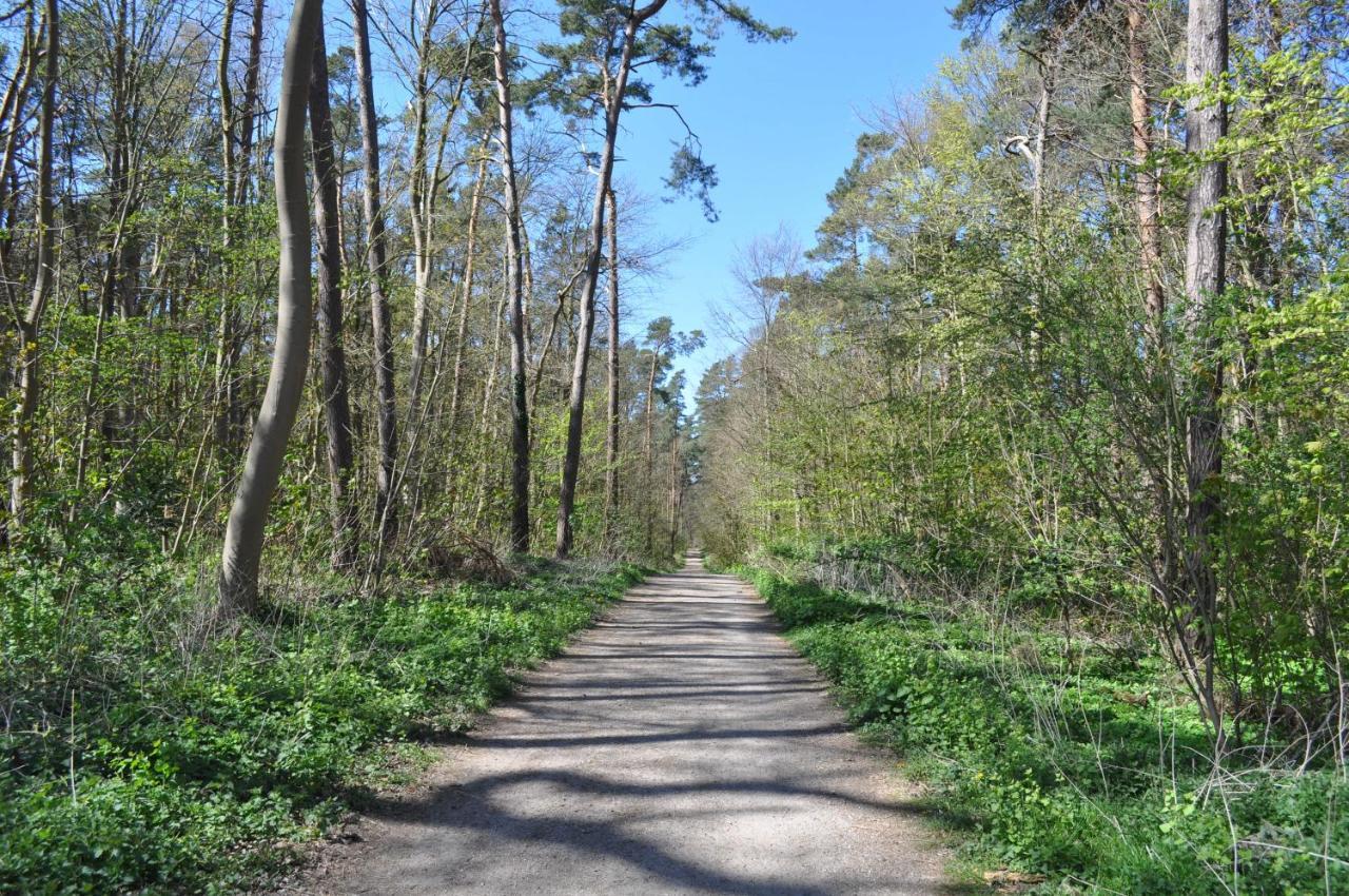 Ostseetraum Ostseebad Kühlungsborn 외부 사진